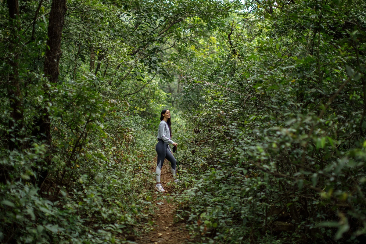 Master stress resilience and reclaim your energy through holistic healing - Image 3