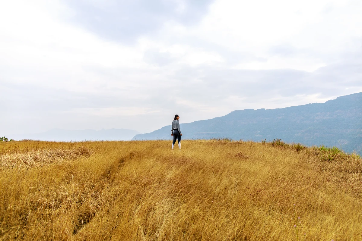 Master stress resilience and reclaim your energy through holistic healing - Image 8