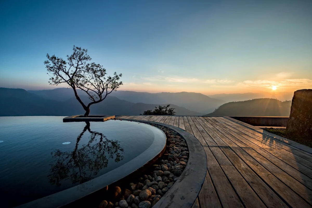 Sustainable Cholesterol Management Through Natural Medicine - Image 2