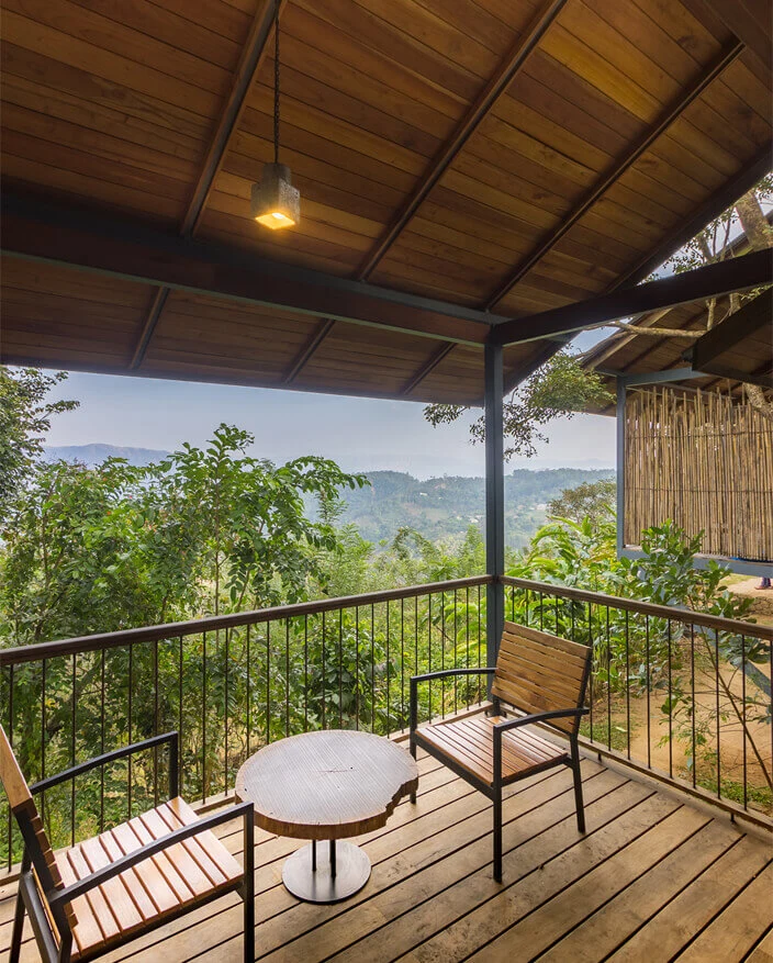 Sustainable Cholesterol Management Through Natural Medicine - Image 6