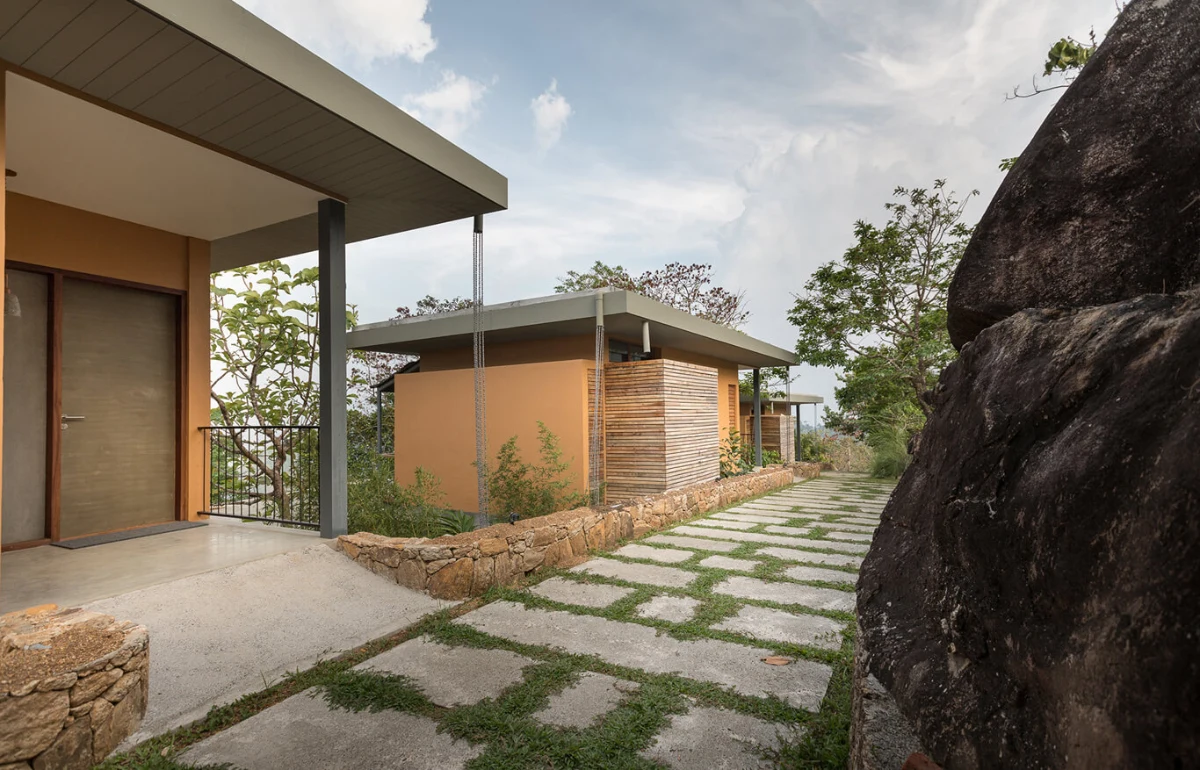 Sustainable Cholesterol Management Through Natural Medicine - Image 7