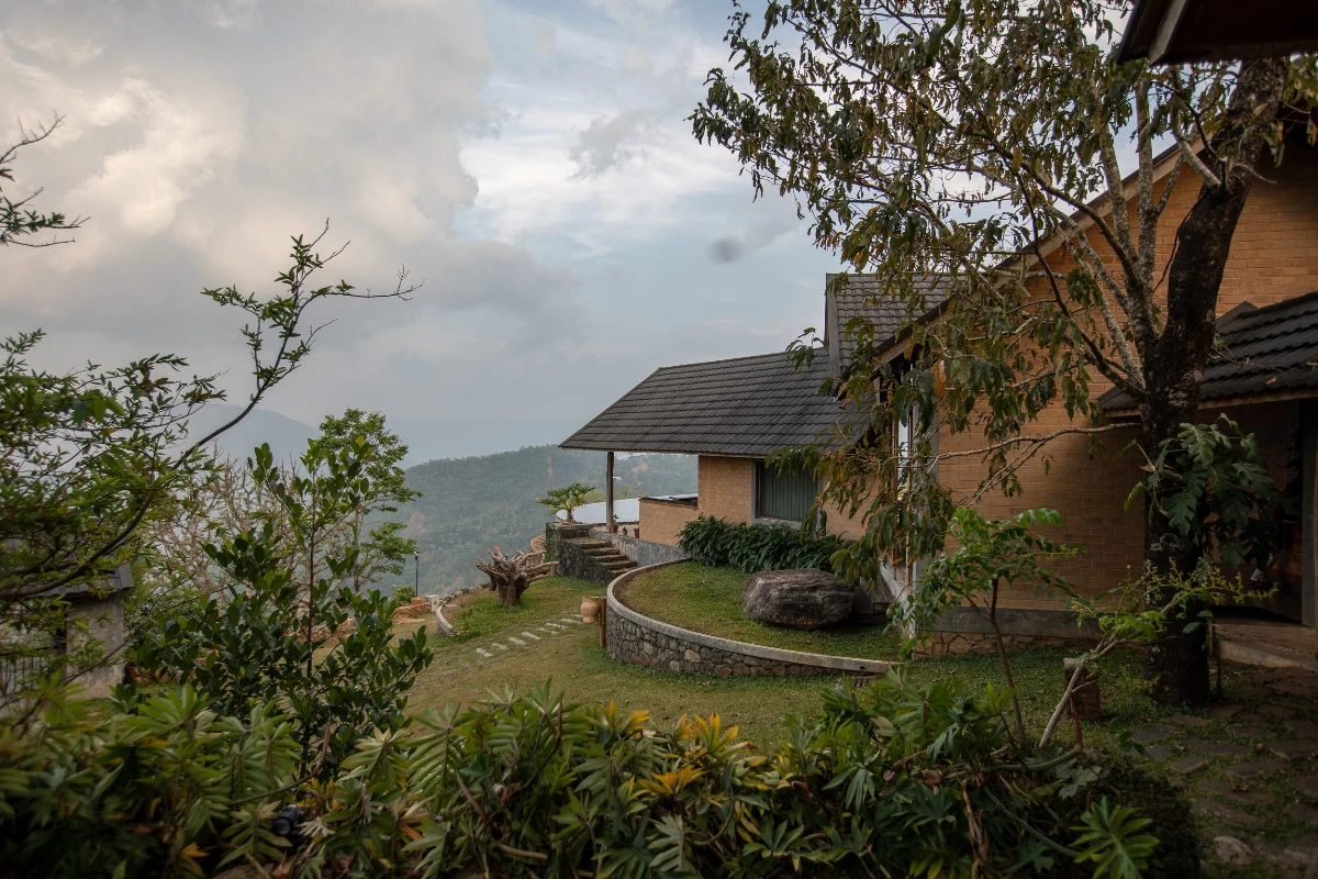 Eliminate toxins through nature's healing elements - Image 4