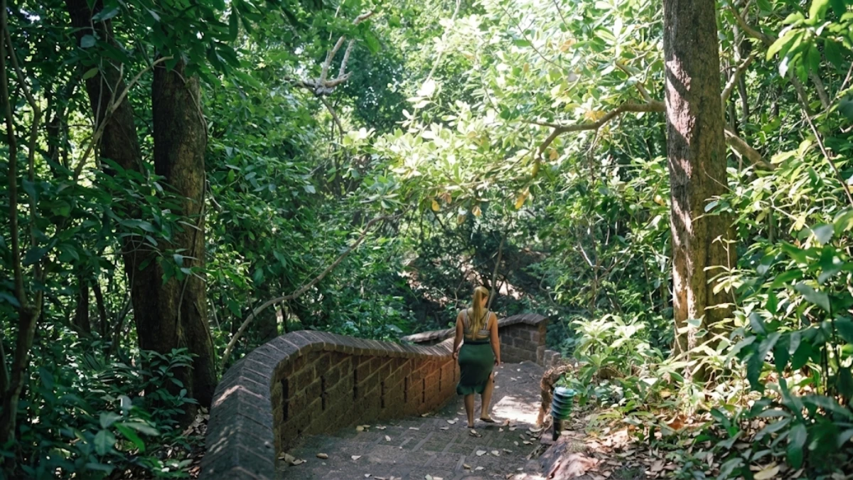 Guest walking through lush forest pathway.