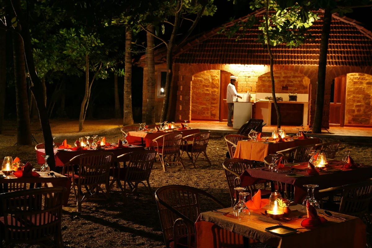 Release stress and restore balance with Ayurveda - Image 4