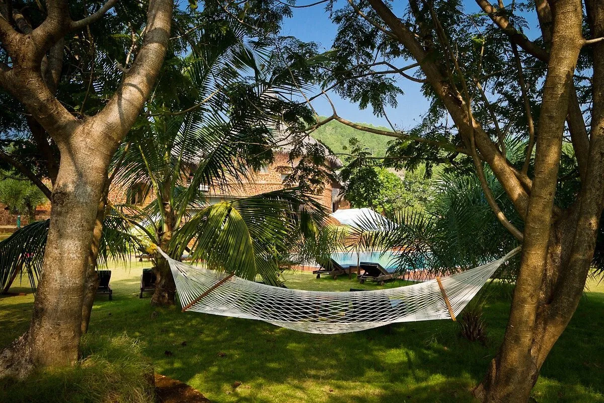 Release stress and restore balance with Ayurveda - Image 6