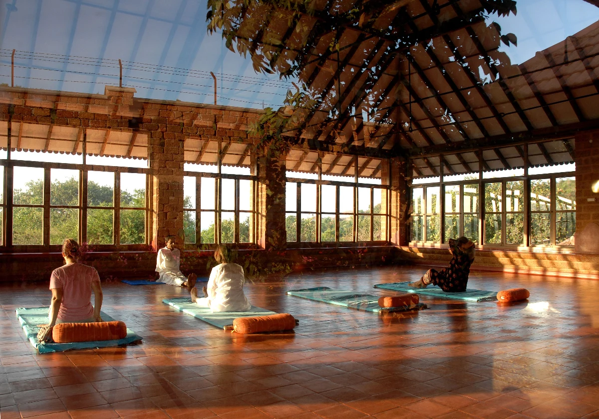 Restore balance through elemental naturopathic healing - Image 3