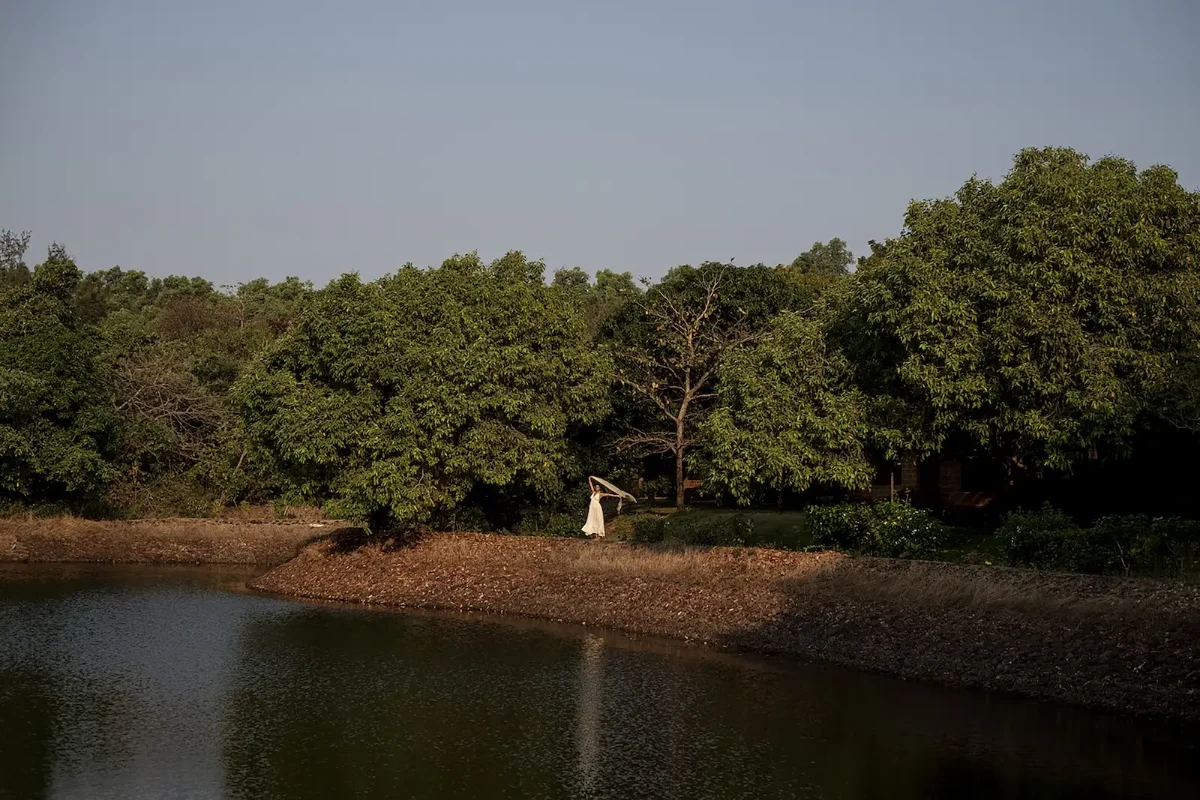 Balance life through Ayurveda, yoga and mindful living - Image 8