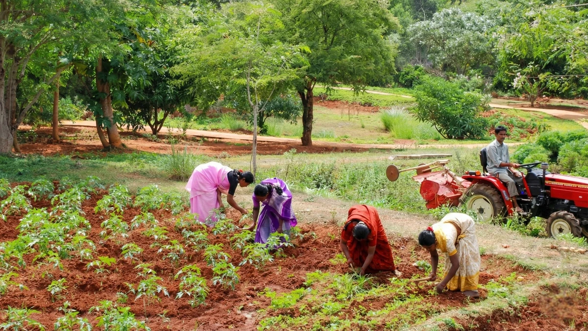 Guests participating in organic farming activities learning sustainable practices.