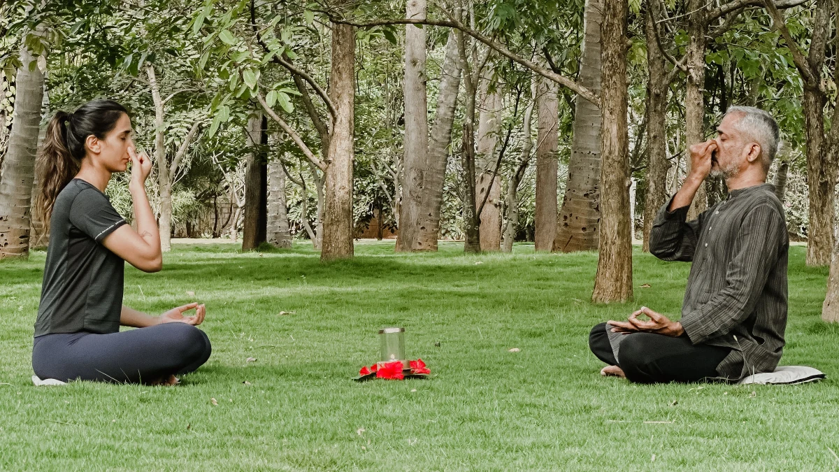 Strengthen immunity and restore natural balance through Ayurveda - Image 6