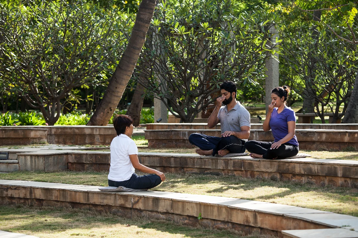 Small group yoga session in open-air pavilion